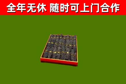 敦煌回收海参